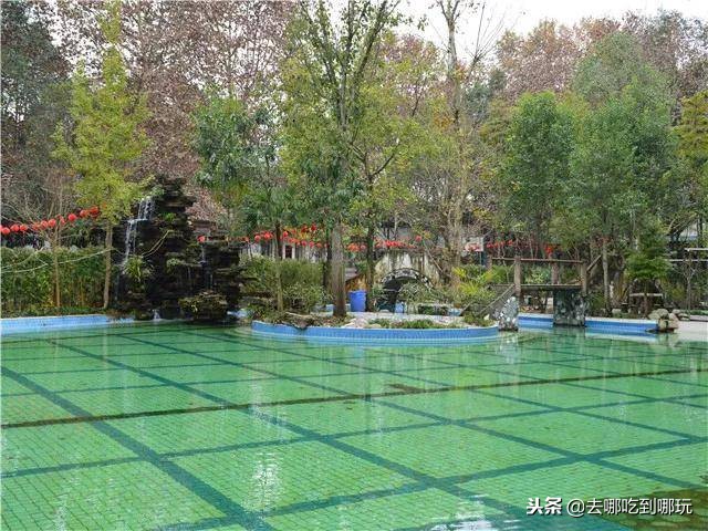 99温泉度假酒店团票,99元抢套房