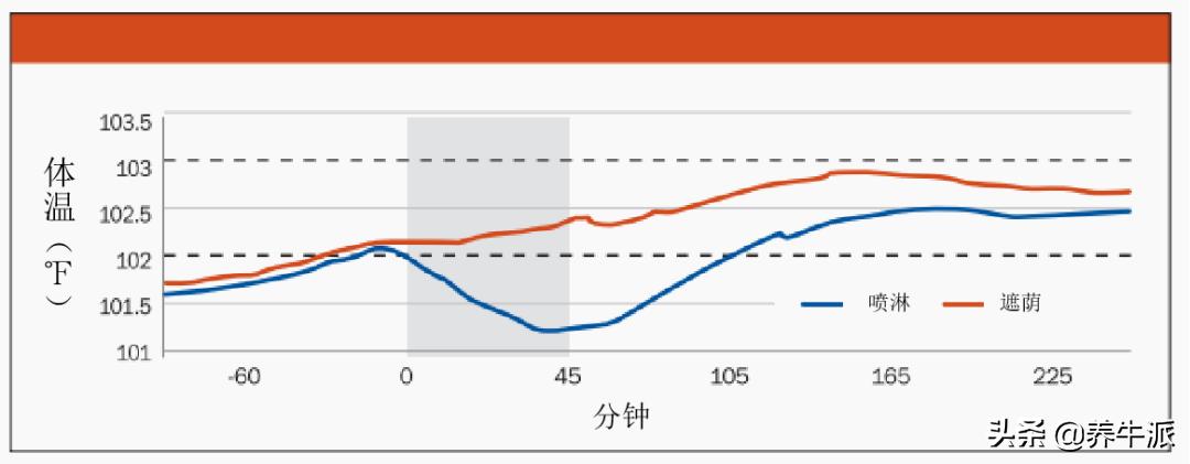 奶牛体温的起起伏伏
