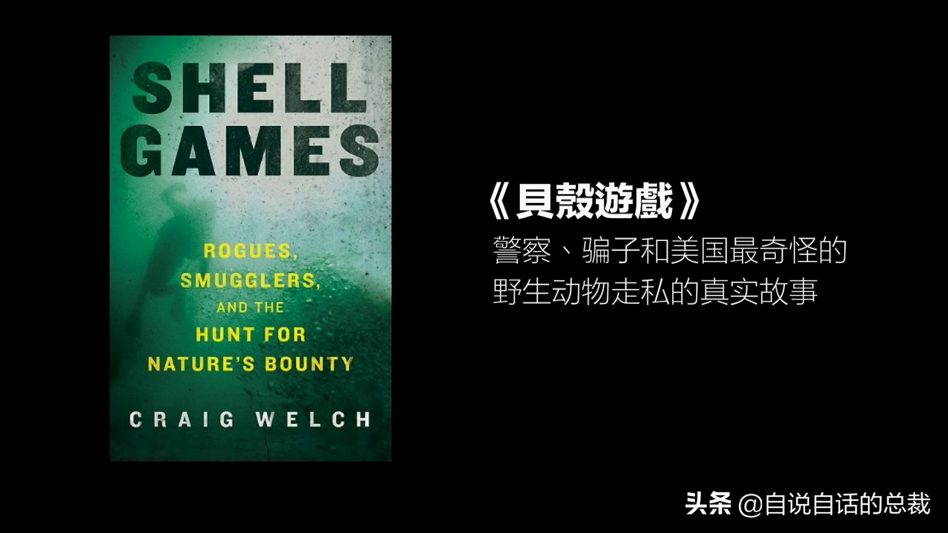 蚬蚌蛏的区别是什么,蚶子蛤蜊蚬子区别