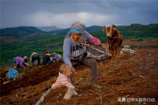 他山之石丨“拼”出新产业，小果子带来脱贫大希望，背后的故事都有啥