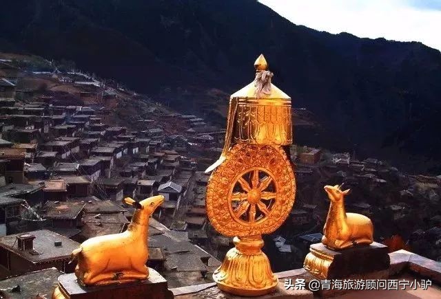 青海隐藏的秘密,青海发现美丽秘境全世界为之瞩目