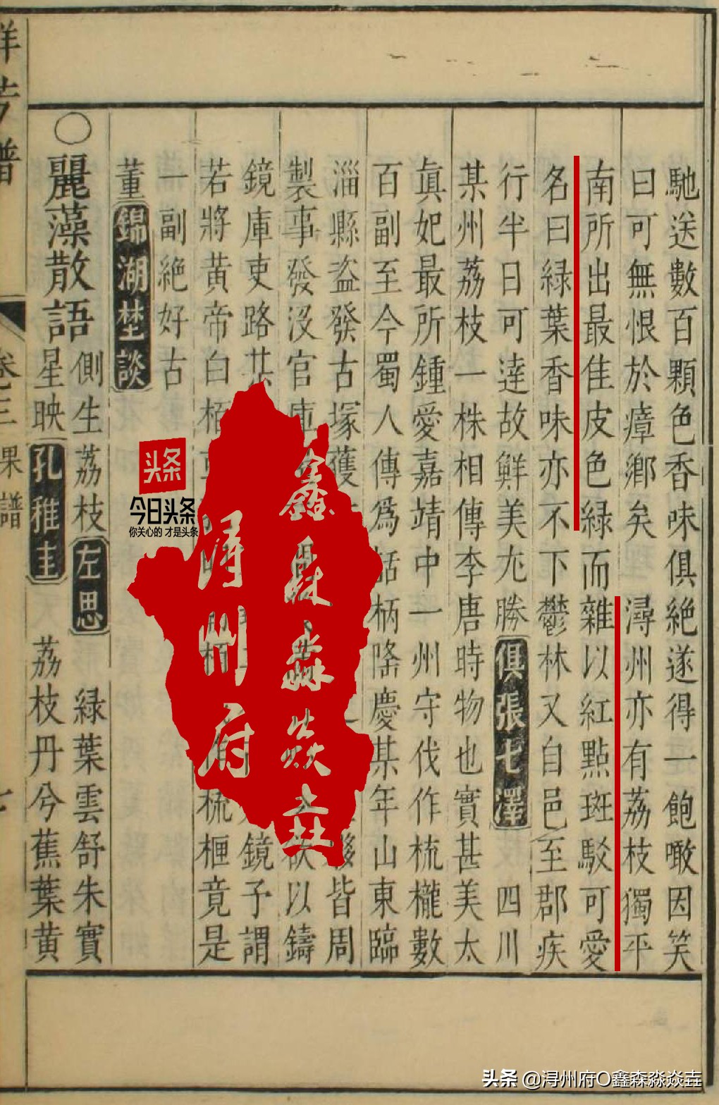 桂平麻垌中国荔枝之乡的石碑,麻垌荔枝之乡在哪里