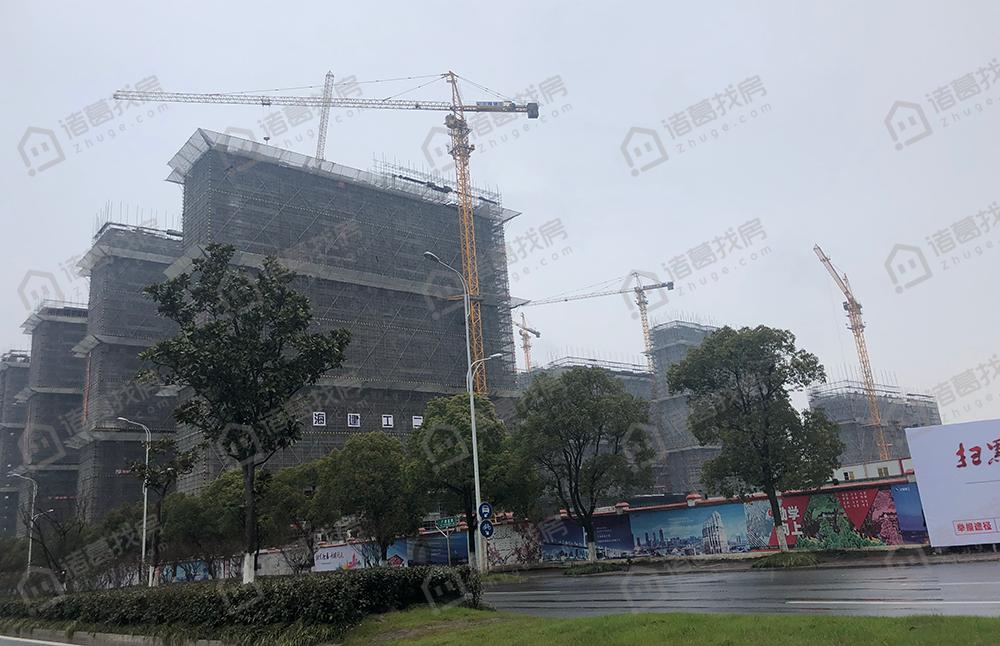 广州土拍第二轮南沙土地位置,活力岛最新地块