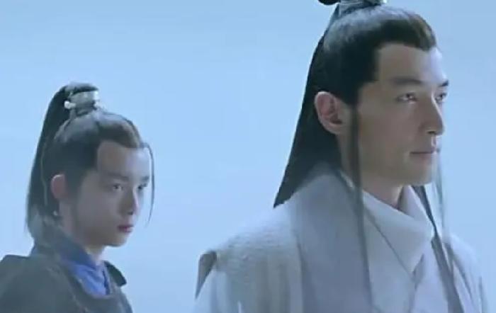 琅琊榜飞流和蔺晨是一对吗,琅琊榜飞流为什么惧怕