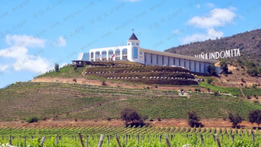 “风雨两甲子”张裕A:百二秦关终归楚,三千越甲可吞吴