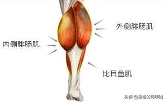 跳绳和跑步哪个会让小腿变粗,运动小腿越来越粗壮