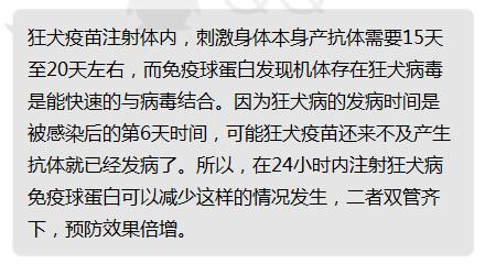 狗被咬伤大概需要多少医药费,平安保险狗咬伤能报销多少钱