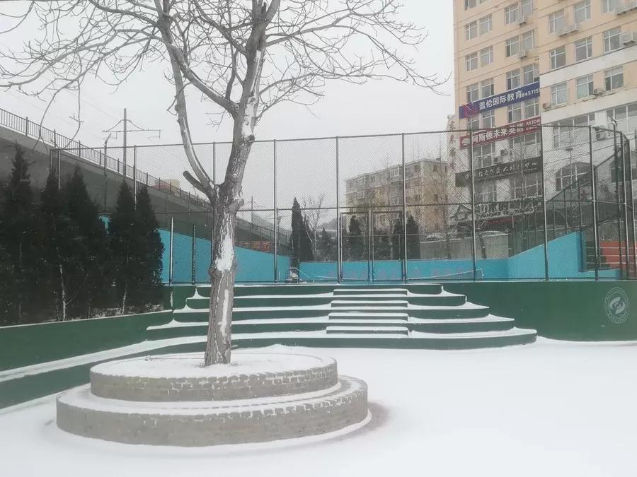 辽宁附属高级中学,辽宁师范大学附属中学2017