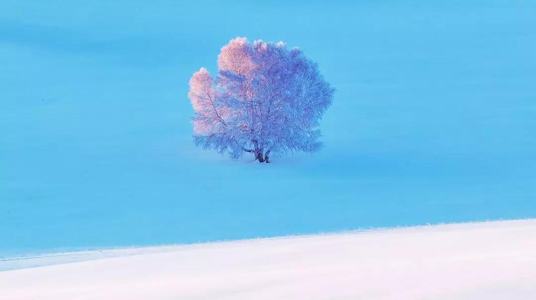 冬日的坝美有多美,冬日的坝上草原