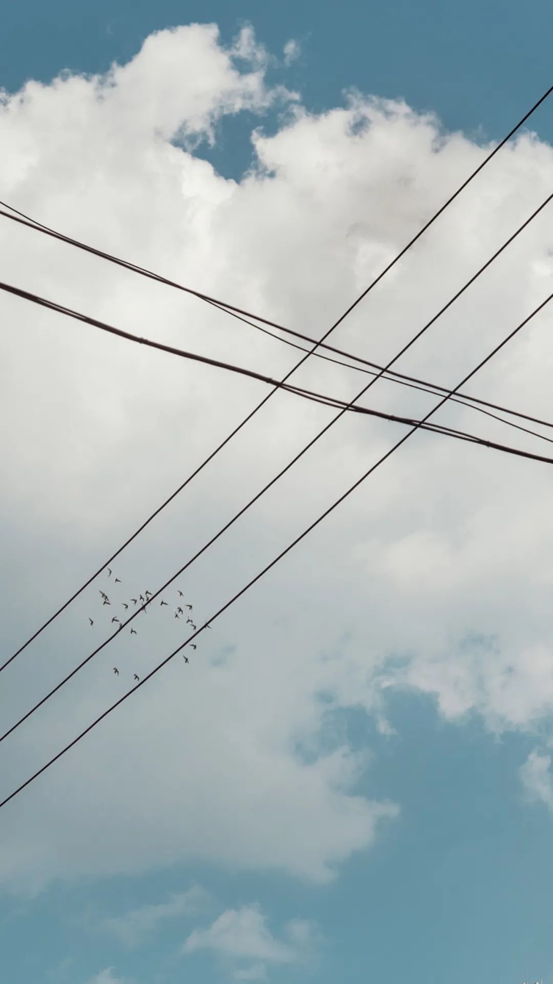 记忆中的南京一中,南京一中传奇