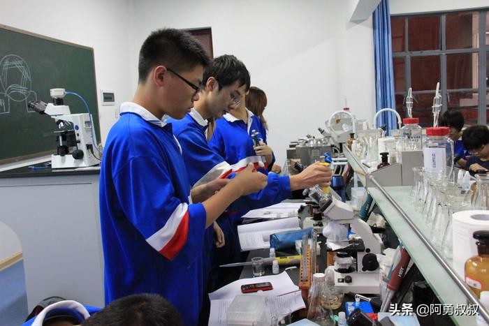 长沙市雅礼洋湖实验中学,长沙雅礼4大名校