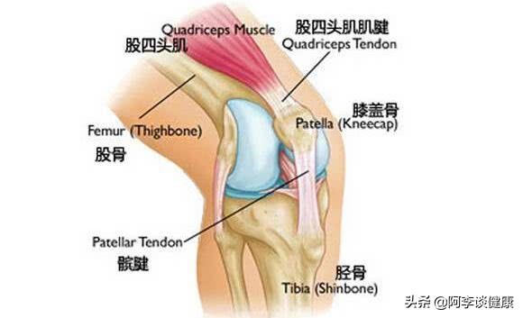 膝盖前侧疼痛一招解决,缓解膝盖侧方疼的10个小妙招