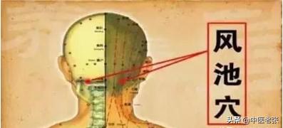 老中医顺口溜你值得拥有,超实用的中医顺口溜值得一看