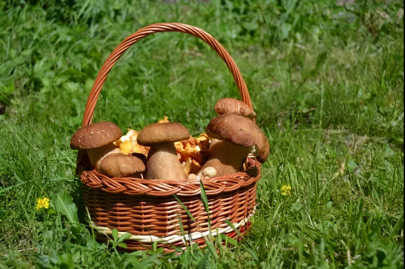 爱你的人总会给你说早安,真正爱你的人每天都给你说早安