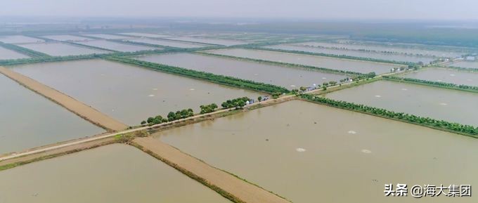 从优秀员工到优质客户，他与海大共同走过的十八年