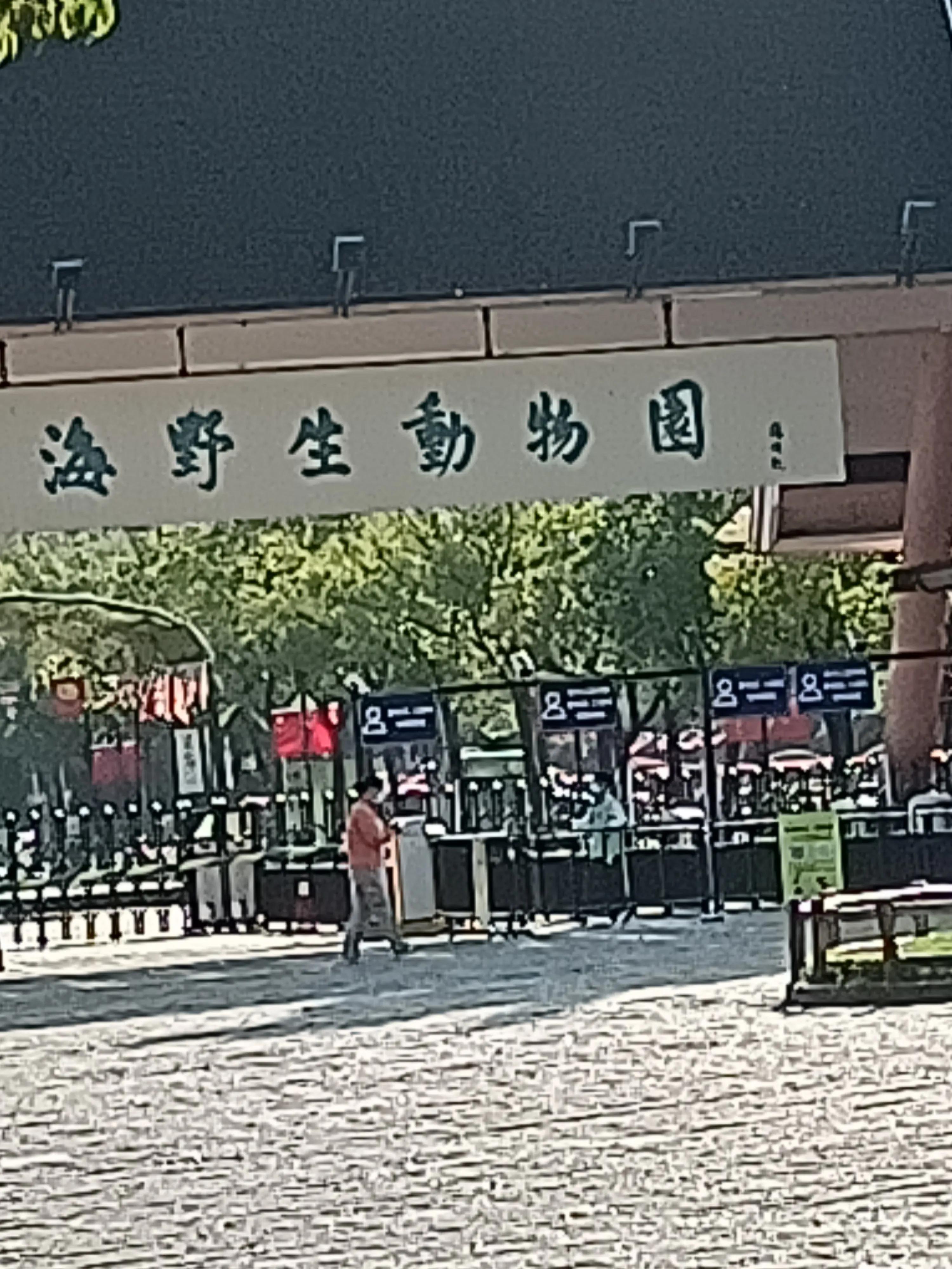 上海车墩大神小姐姐真实生活,上海车墩日结大神聚集地