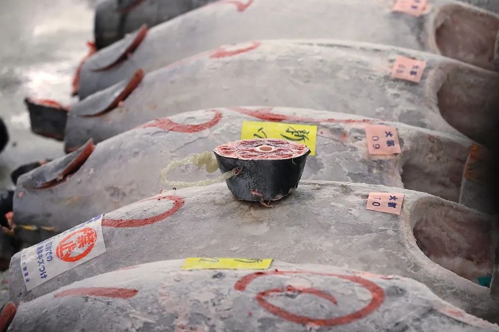 人均1000元的日本料理到底贵在哪,人均1000日本料理服务