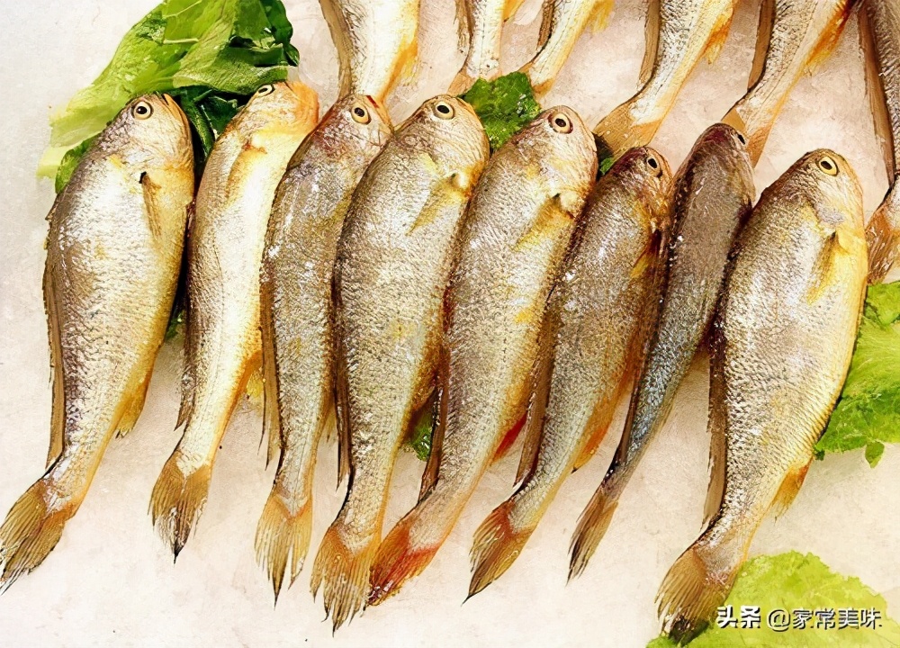 买海鱼观赏鱼,买海鱼推荐