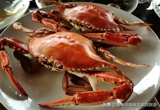 天津滨海新区吃海鲜渔村,天津滨海吃皮皮虾