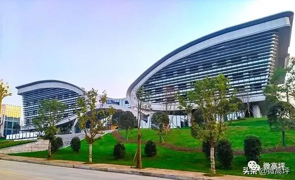 高坪区临江新区,高坪临江新区