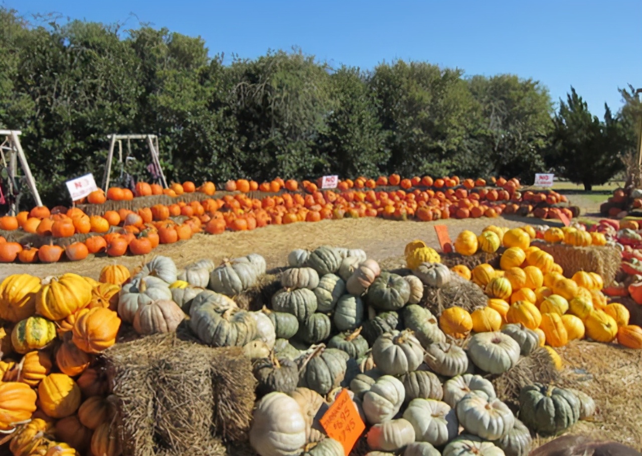 世界上十大迷宫之最图片,世界上著名的迷宫有哪些