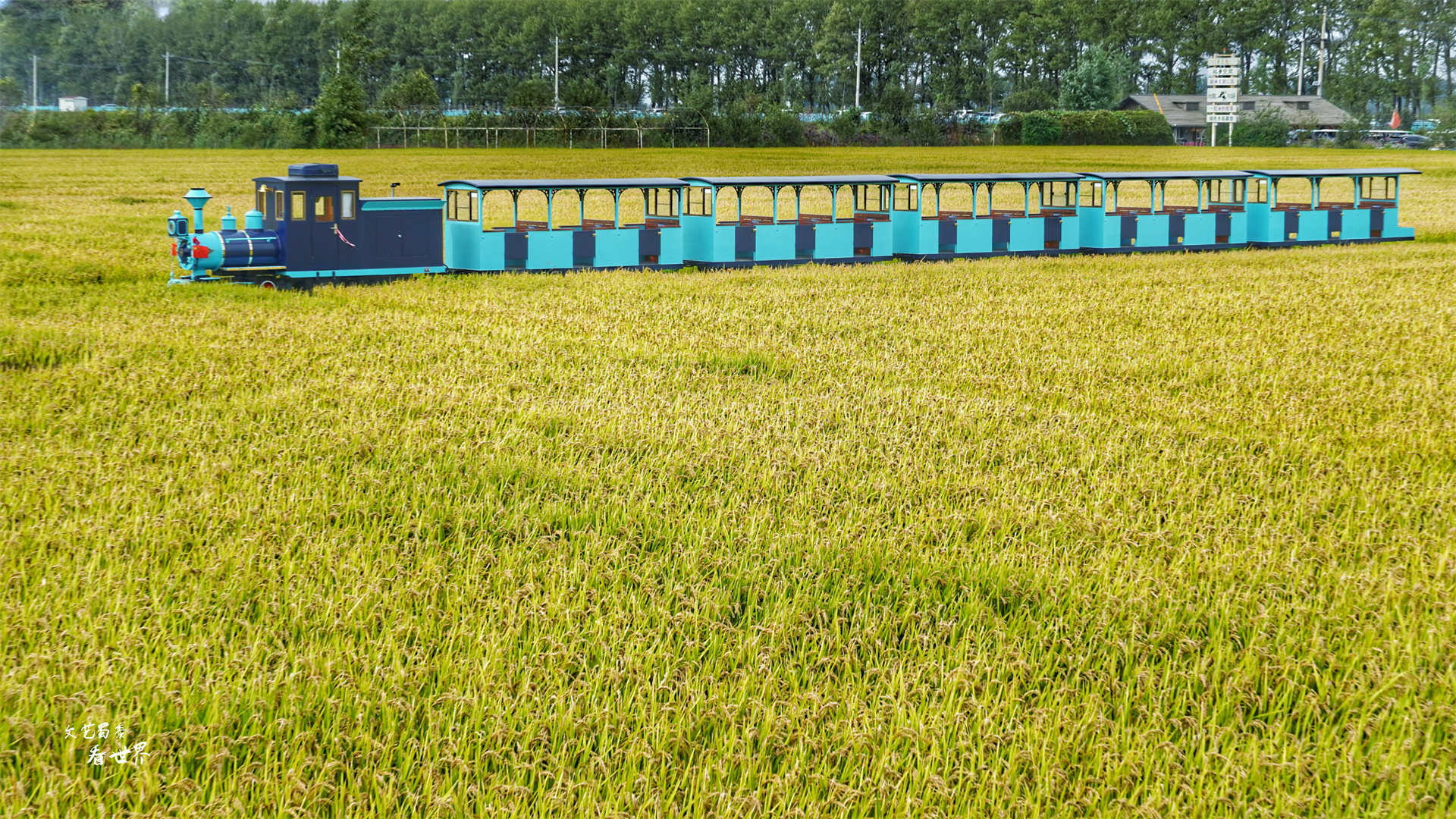 沈阳稻梦空间在哪个位置,沈阳市稻梦空间门票