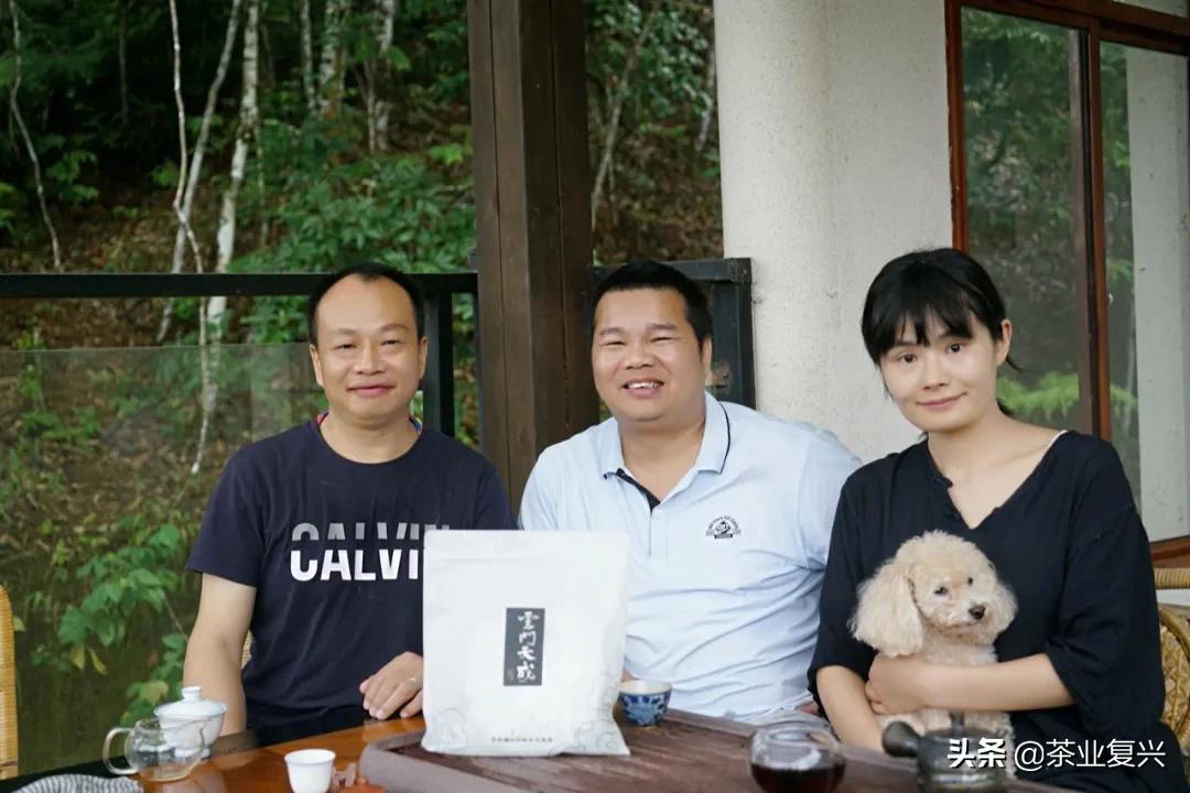 薄荷塘纯料茶,薄荷塘茶加工