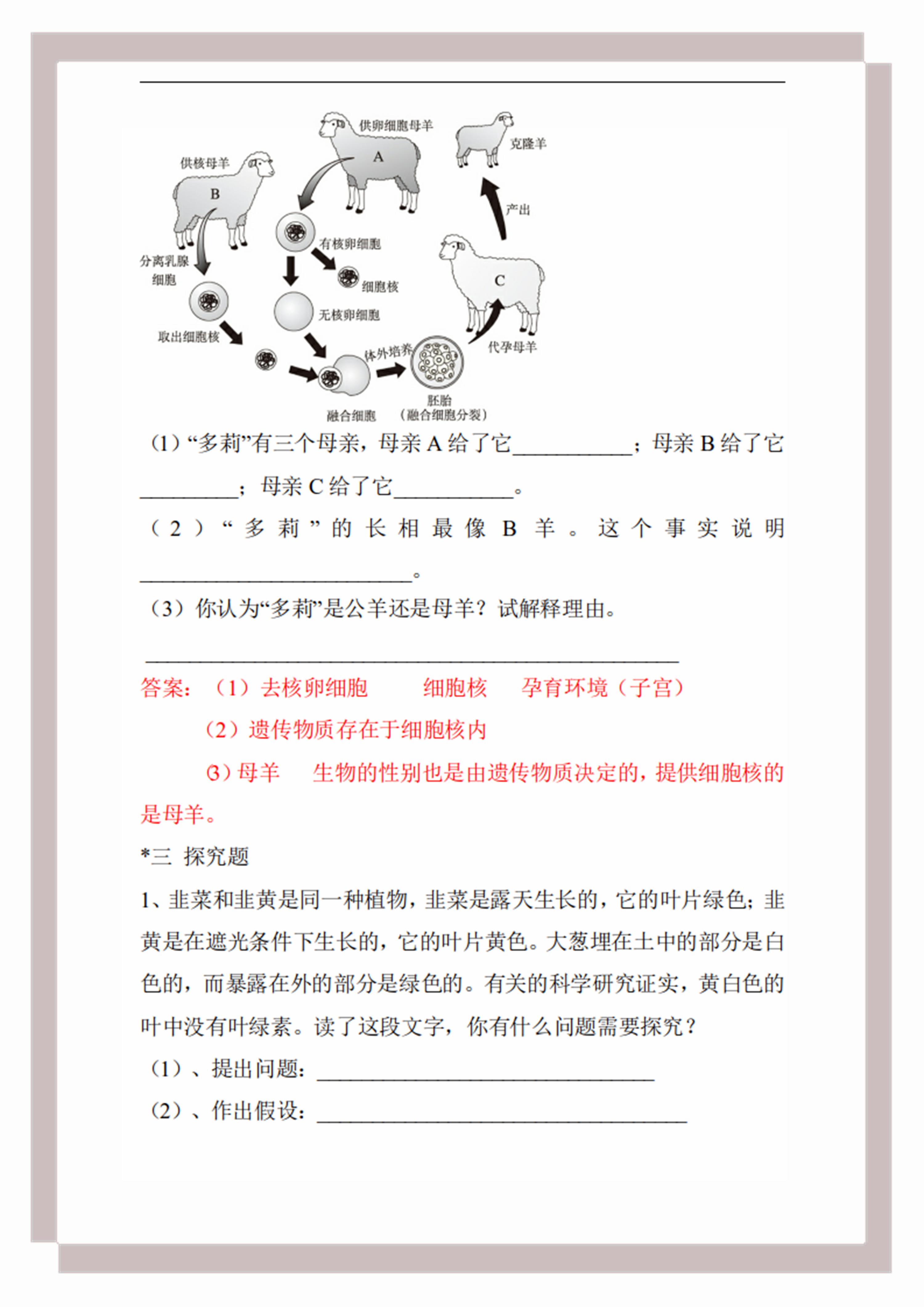 七年级生物期末测试卷试题分析,七年级上册生物期末复习视频