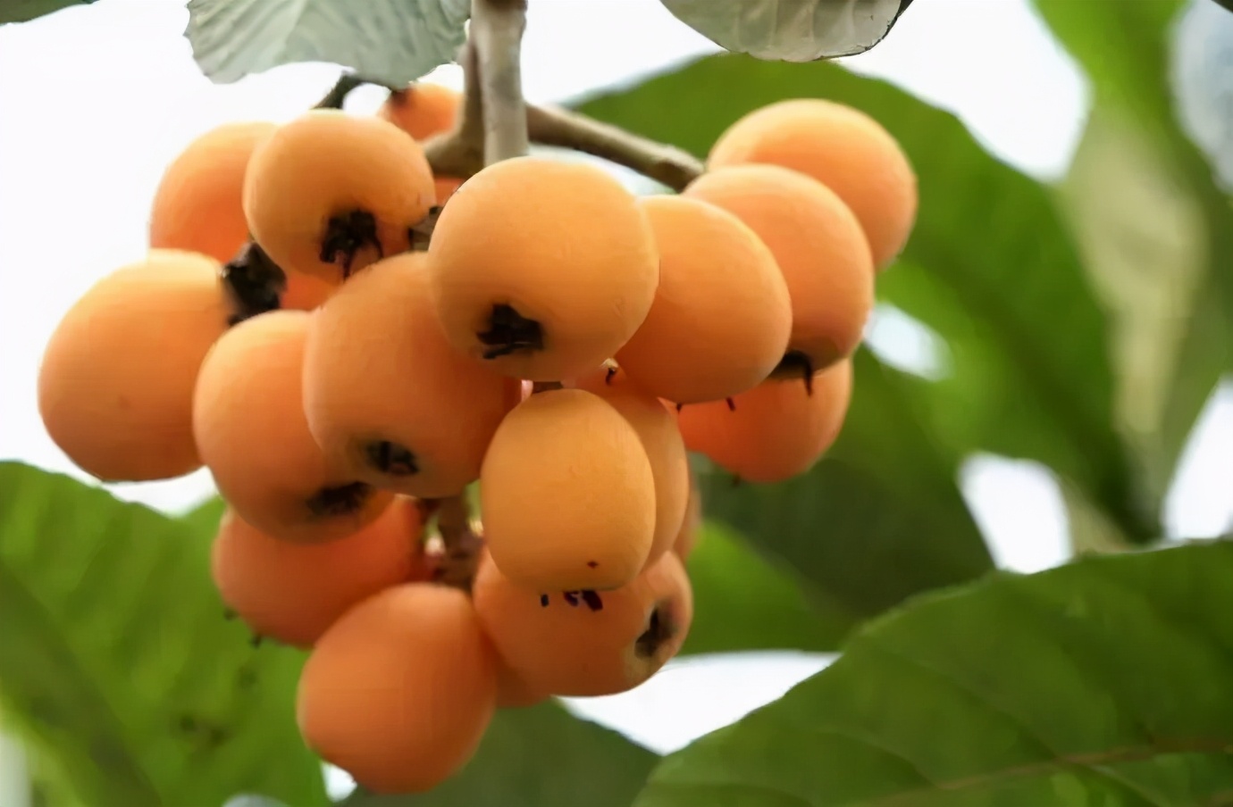 对不起这才是真实的自己,这才是真正的临平