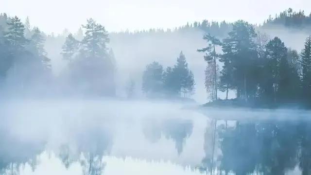 这4本高质量完本小说你读过吗,这四本好看的兵王小说你都看过么