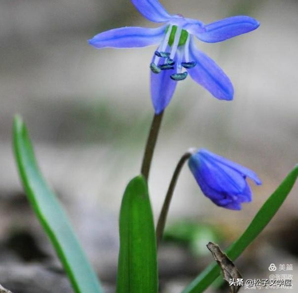 如何提高做美篇的能力,如何提高美篇阅读量