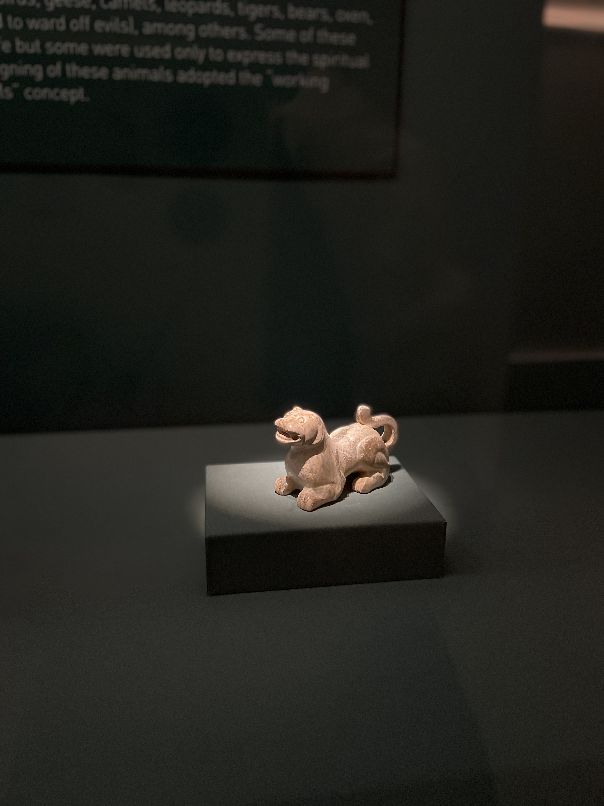 魔都十大必去博物馆,上海震旦博物馆攻略