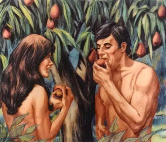 金苹果盘点,金苹果的诱惑