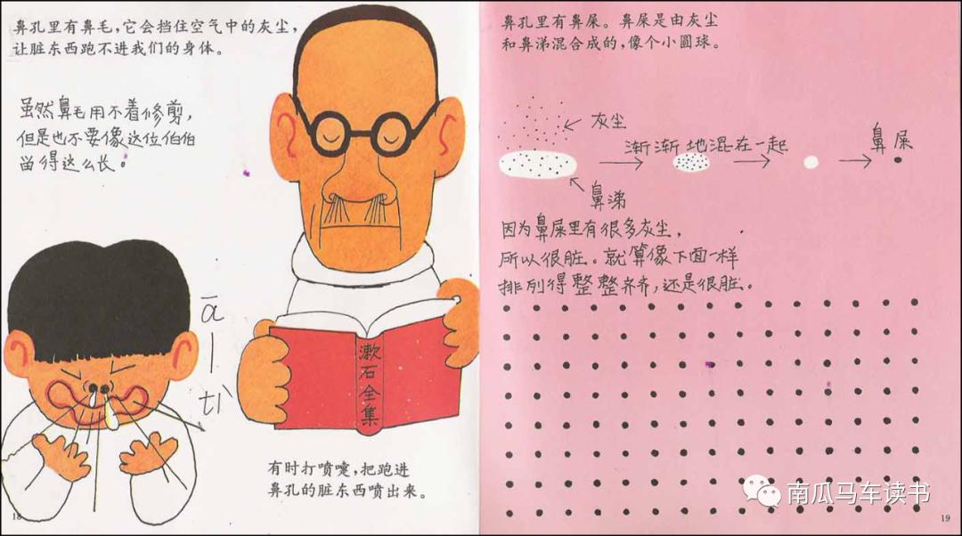 关于五官的绘本故事教案,大班绘本鼻孔的故事教案