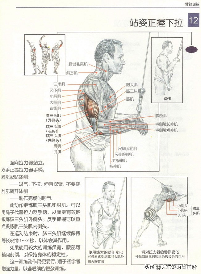 减脂午餐一周安排表,减脂健身计划一周表图