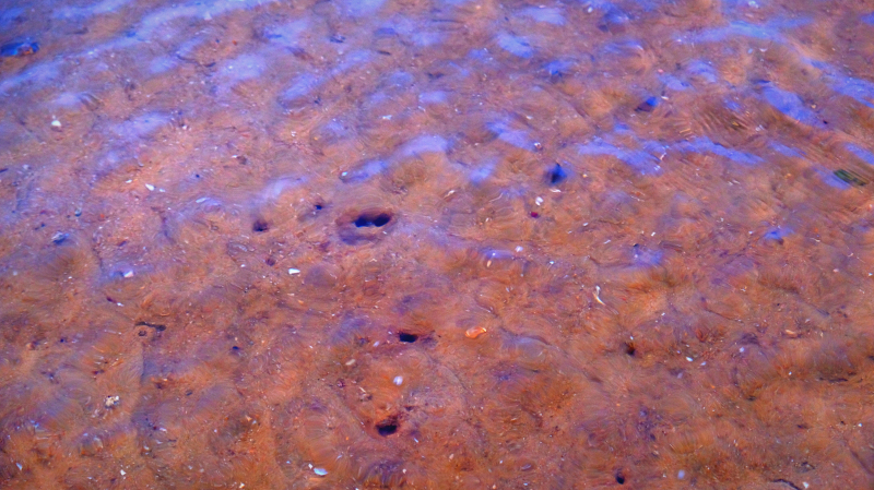 湛江遂溪角头沙旅游攻略,湛江江洪镇旅游攻略