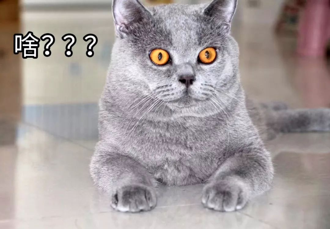 叶檀财经投资价值排行,叶檀财经推荐的股票有哪些