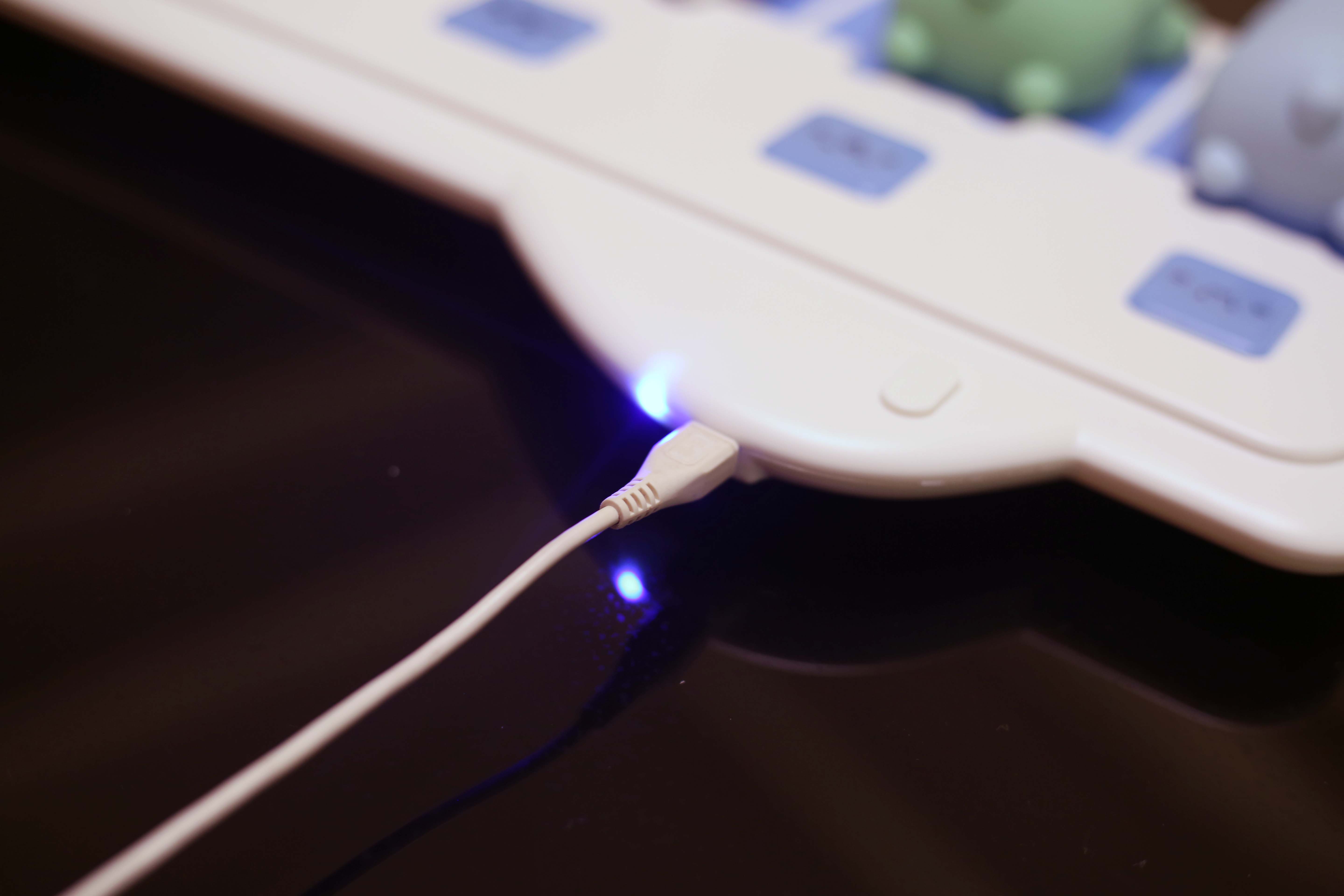 适合撸猫的猫咪,撸猫爱好者