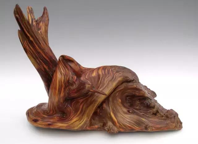 崖柏为什么被称为活化石,崖柏有活化石