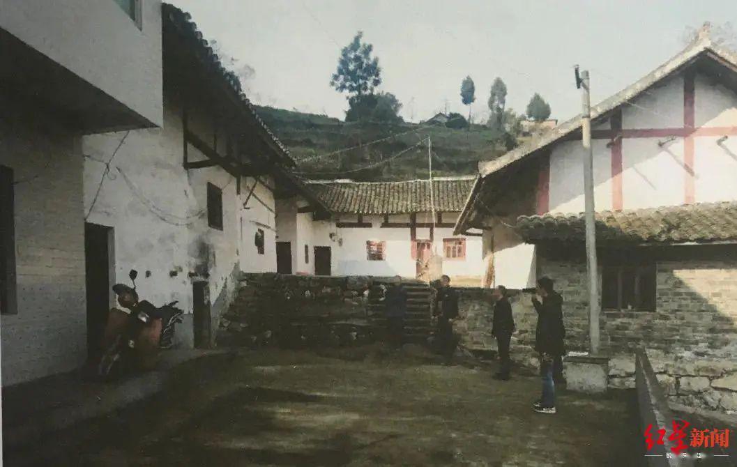 鸡被人投毒,察觉米饭味道不对