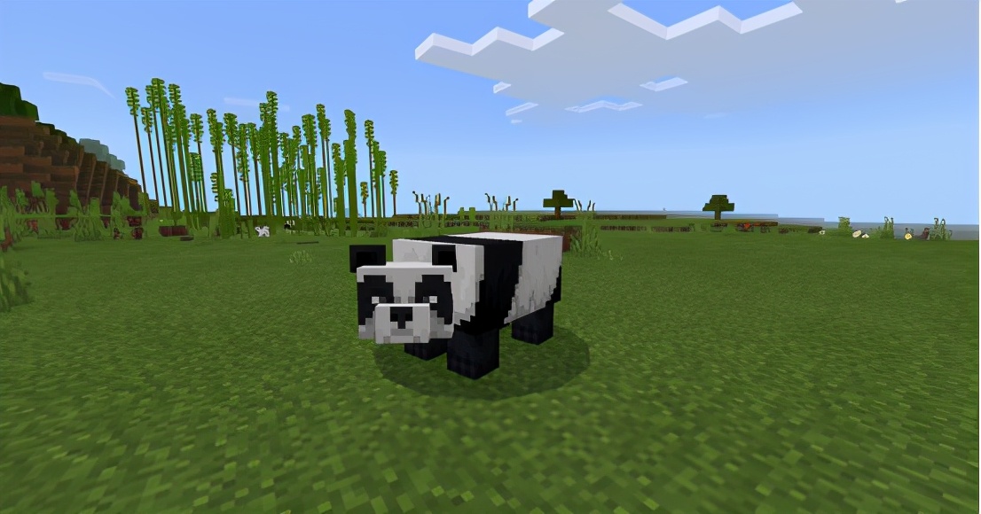 我的世界熊猫吃什么会繁殖,我的世界熊猫怎么繁育出特殊熊猫