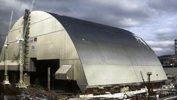 切尔诺贝利实拍的奇怪动物,探险切尔诺贝利发现变异巨鼠事件