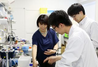日本一流的综合性国立大学之一——名古屋大学