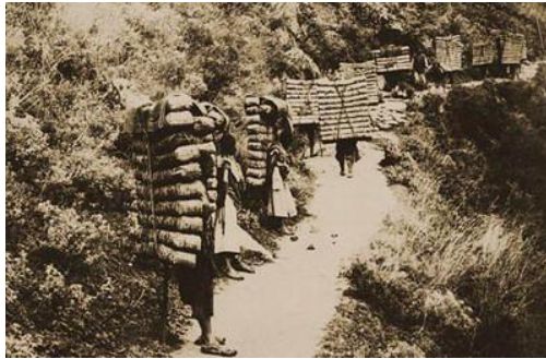 我们都要好好面对人生,生活不容易但我们依旧努力的活着