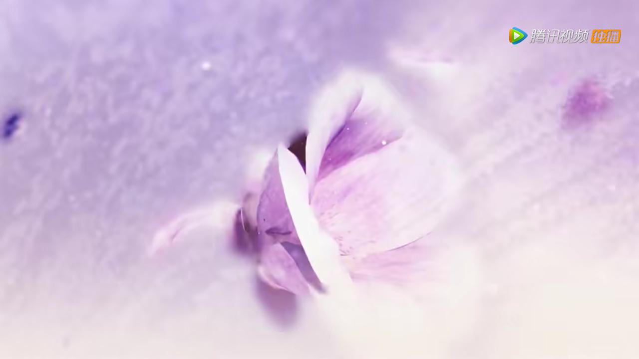 三生三世枕上书东华内心独白109,三生三世枕上书东华帝君下凡历劫