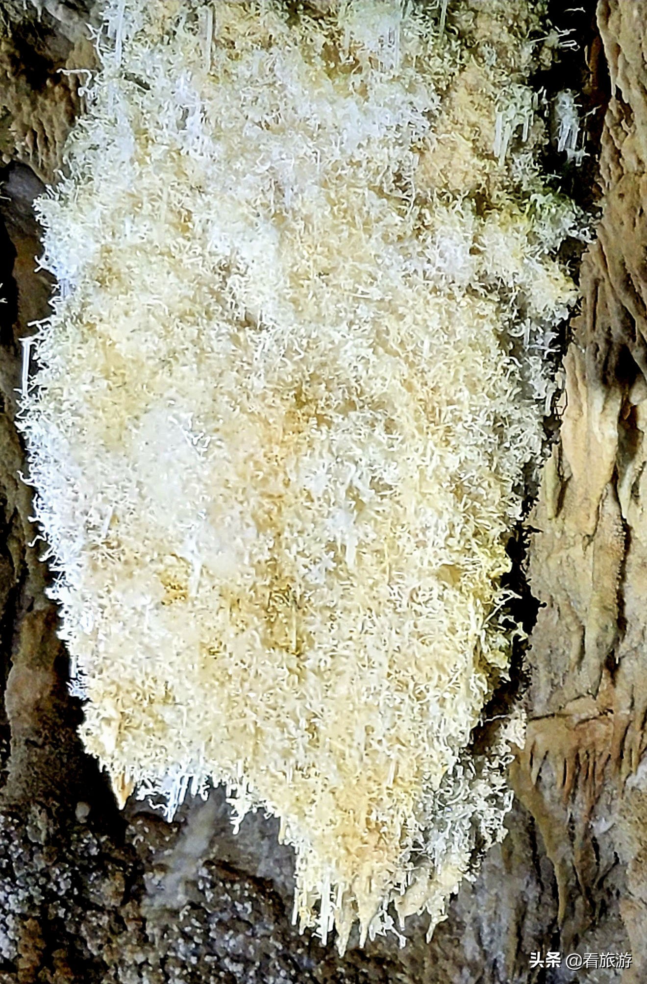 海洋深处水晶宫,水晶宫造型图