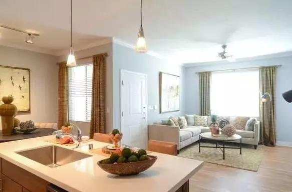 1000万美元在美国买房子,美国1000美元能租到什么样的房子