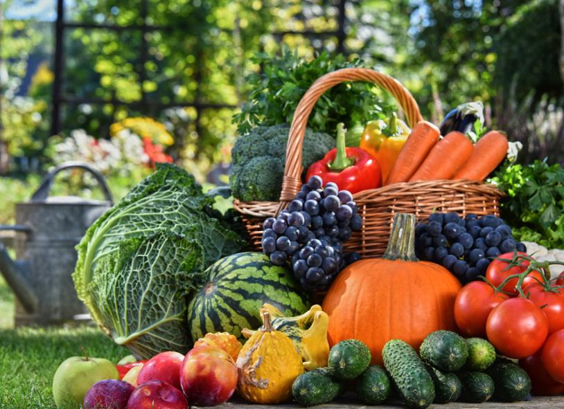 生病千万别吃它后果不堪设想,生病了千万别吃什么