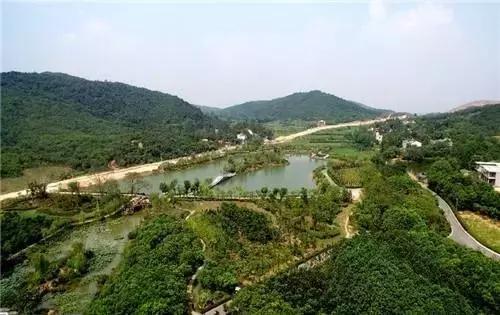 合肥春节免费门票景点,合肥哪些景点过年不要门票