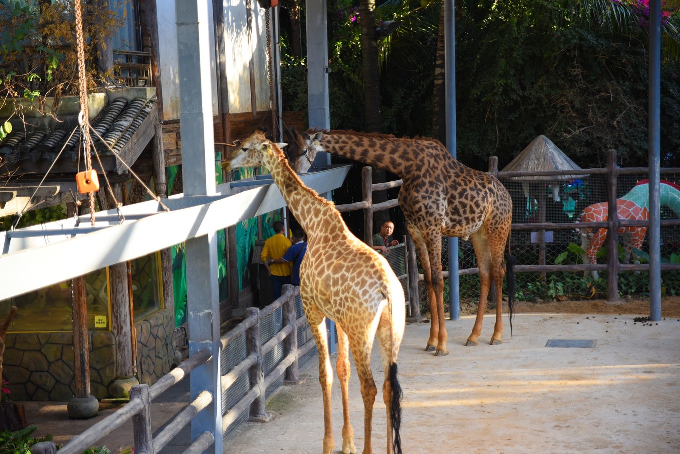 三亚旅游与美食攻略,三亚旅游攻略三亚美食